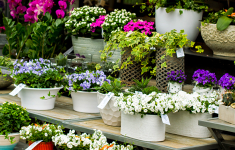 Horpestad Plantesalg * Blomster
