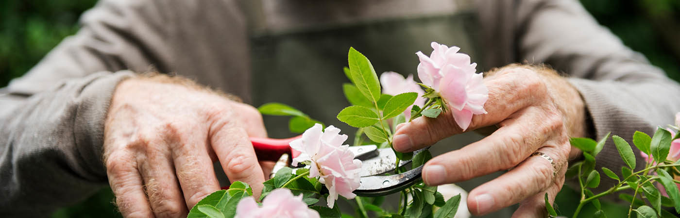 Horpestad Plantesalg * Reklamefilmer