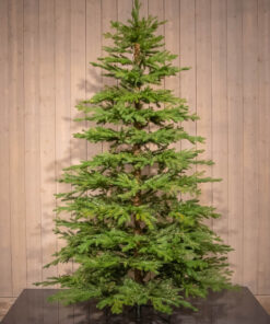 Horpestad Plantesalg * Jul - Kunstige juletrær > Geilo - kunstig juletre
