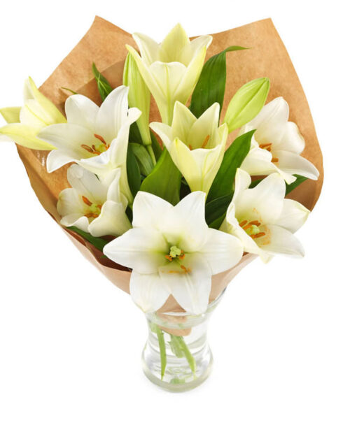 Snittblomster * Begravelse - Kondolansebukett : Gavepakkede hvite liljer