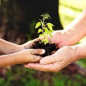 Horpestad Plantesalg * Gjord og gjødsel