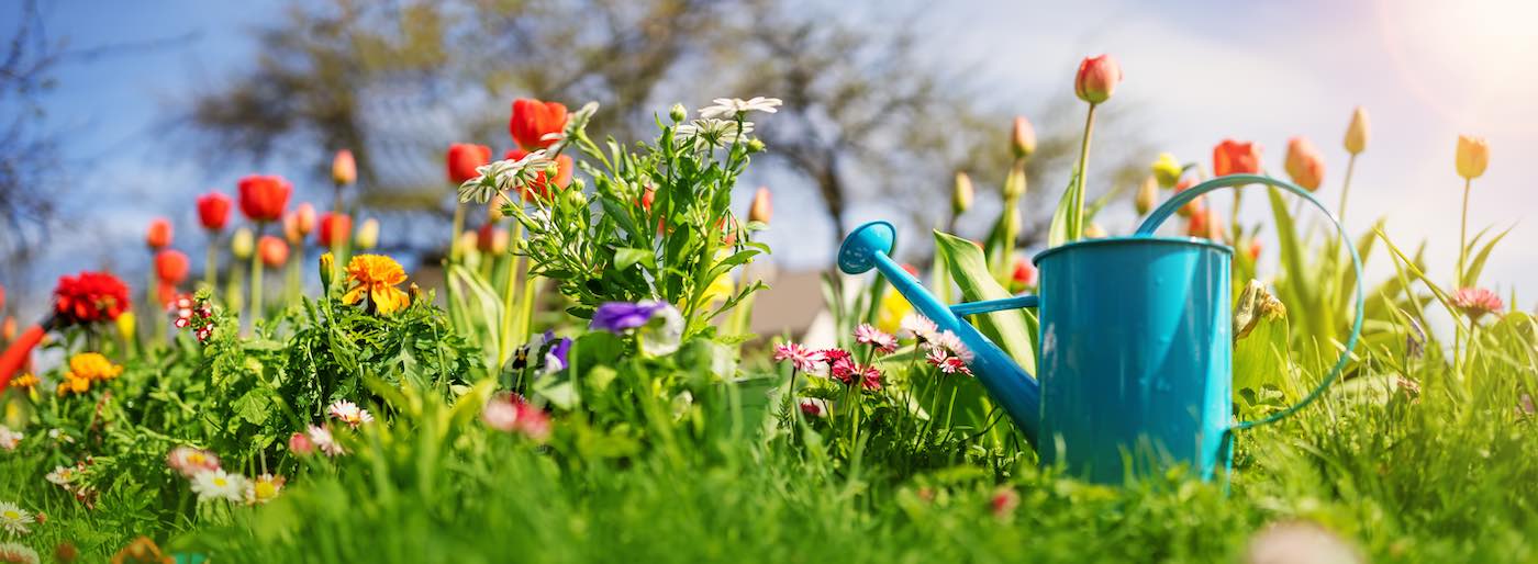 Horpestad-plantesalg-sommersalg