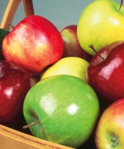 Malus domestica 3 sorter